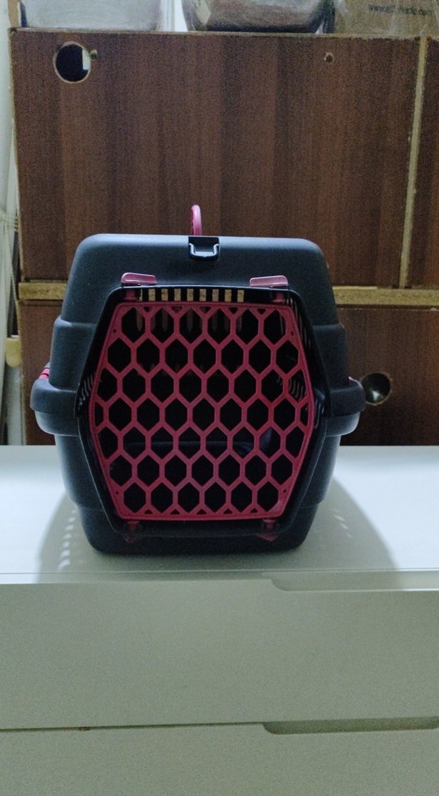 Siyah Taşıma Kabı Kırmızı Detaylı - Görsel 2