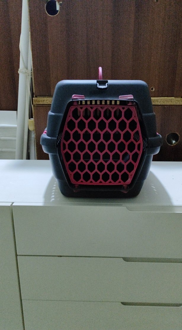 Siyah Taşıma Kabı Kırmızı Detaylı - Görsel 3