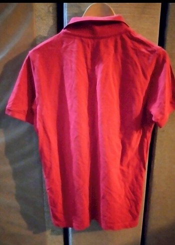 Kırmızı Erkek Polo Tişört - Görsel 5