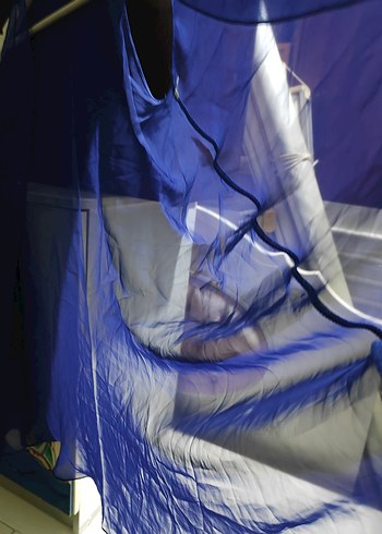 Kadın Mavi Drapeli tül yelek - Görsel 5