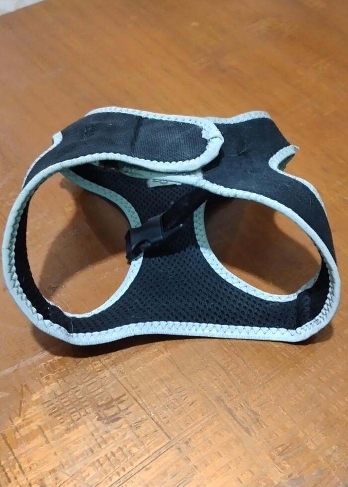 Kaçış önleyici tasma - Görsel 3