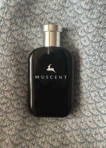 MUSCENT signature intense