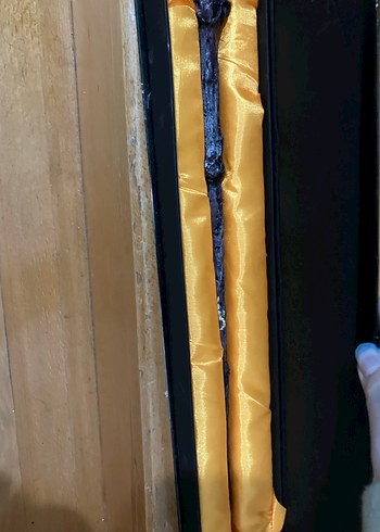 Harry Potter Asa - Görsel 3