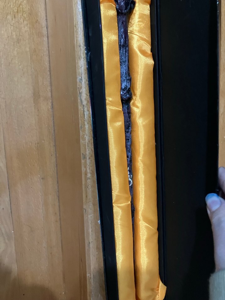 Harry Potter Asa - Görsel 3