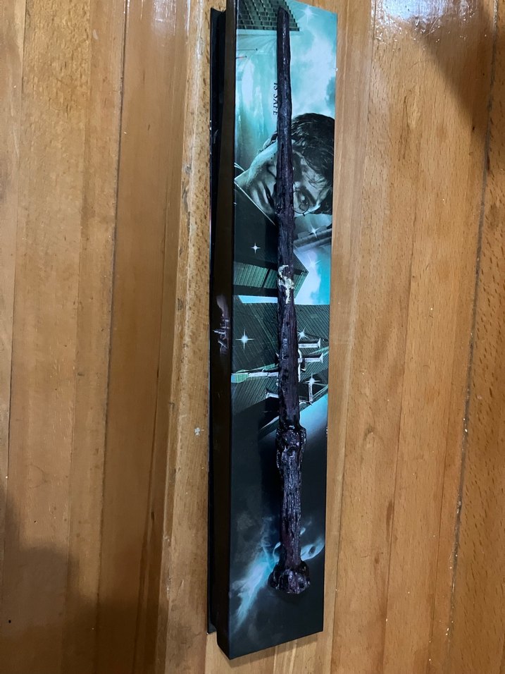 Harry Potter Asa - Görsel 2