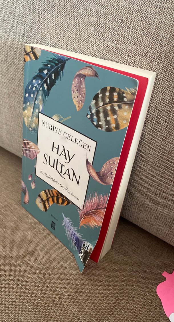 Hay Sultan - Nuriye Çeleğen - Görsel 2