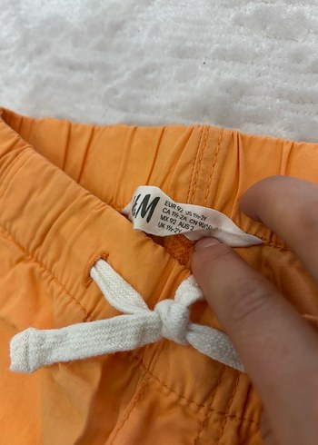 Elastik Bel Pamuk Erkek Şort - Görsel 3