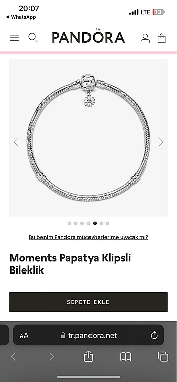 Pandora pandora bileklik