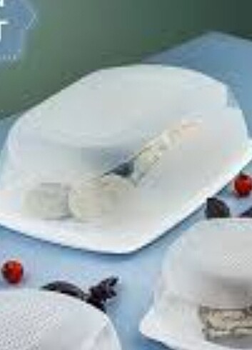 Beden Tupperware büyük peynir dünyası