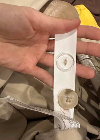 Stradivarius Stradivarus kısa trençkot 