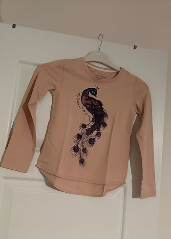 Limon Company 9 Yaş