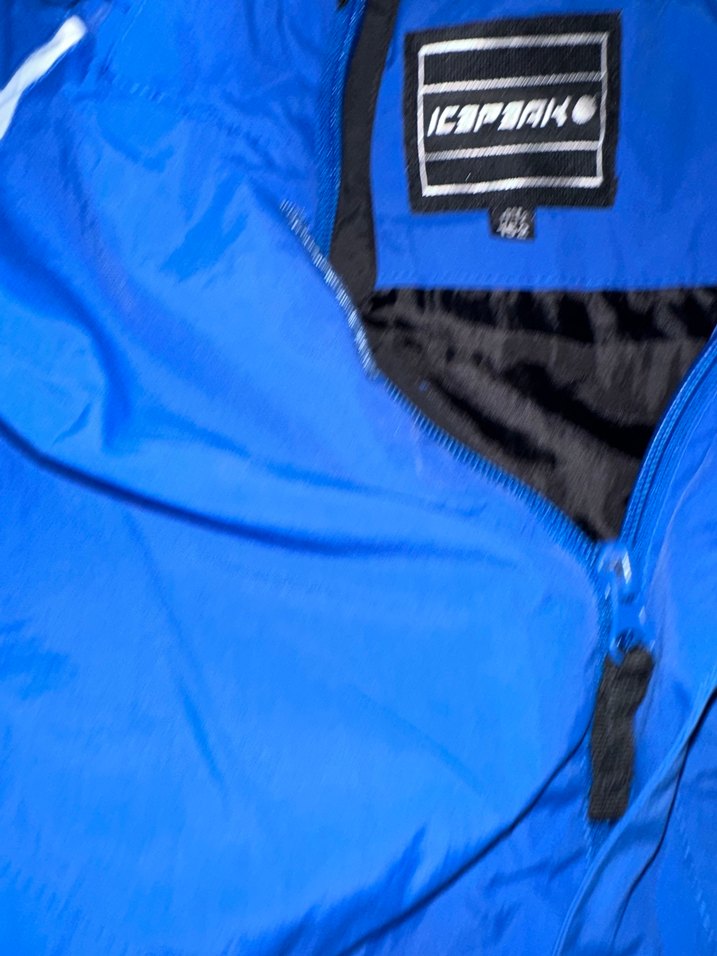 Erkek  çocuk Mavi Kayak Montu Fermuarlı - Görsel 4