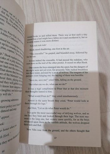 Peter Pan İngilizce kitap - Görsel 2