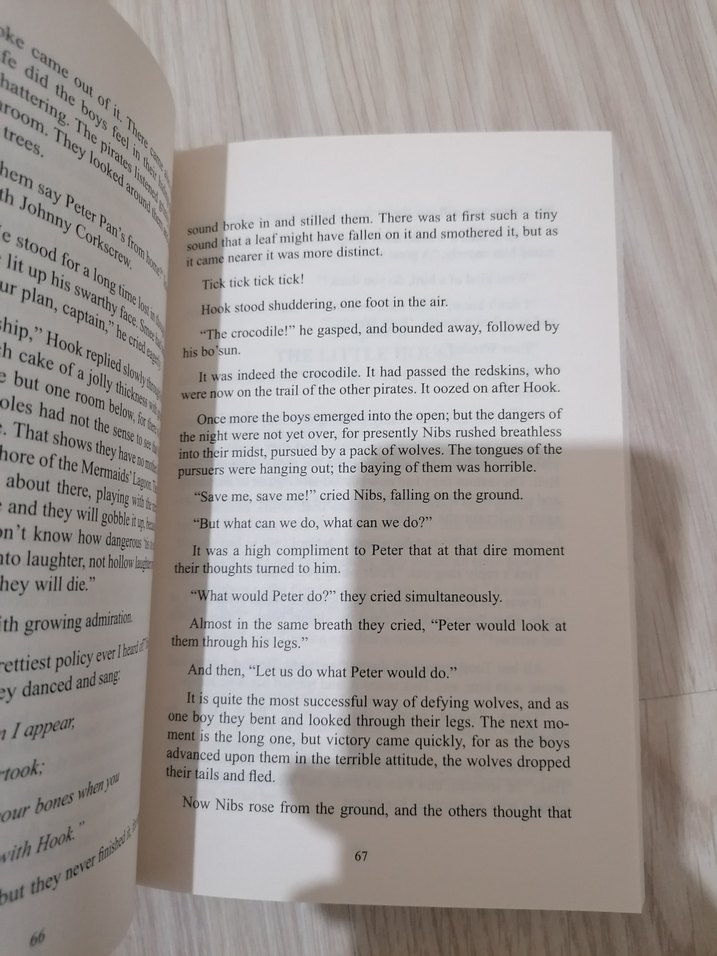 Peter Pan İngilizce kitap - Görsel 2