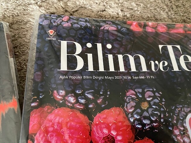 Beden Bilim ve teknik dergisi