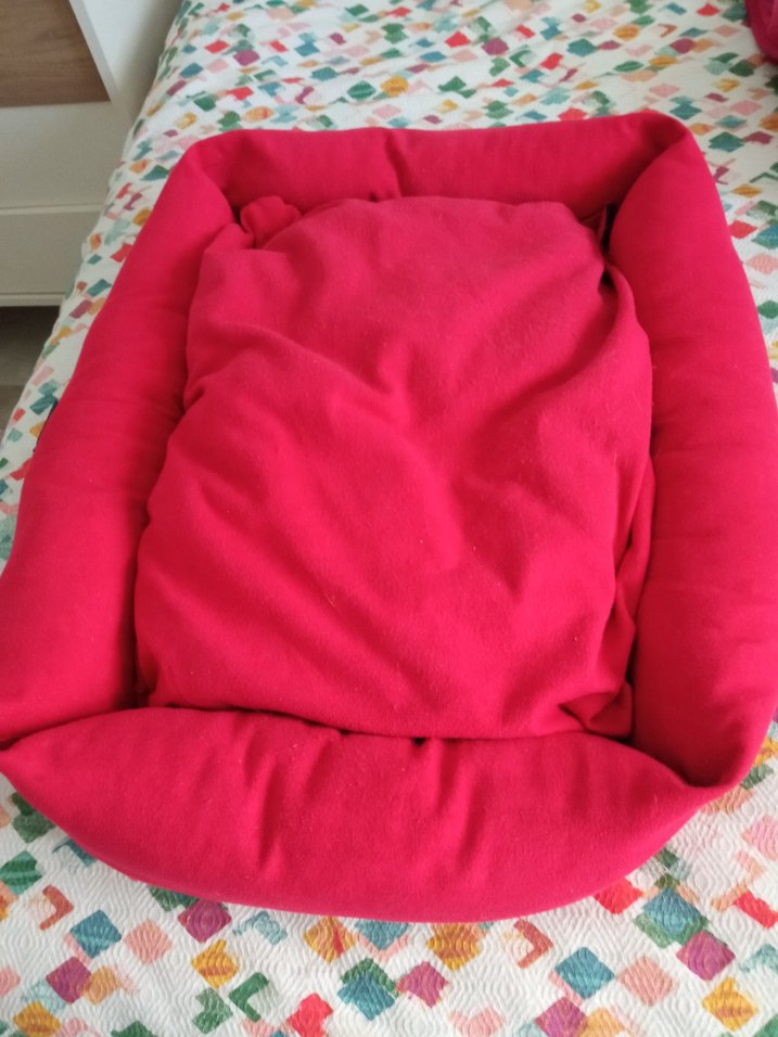 KEDİ YATAĞI - Görsel 4