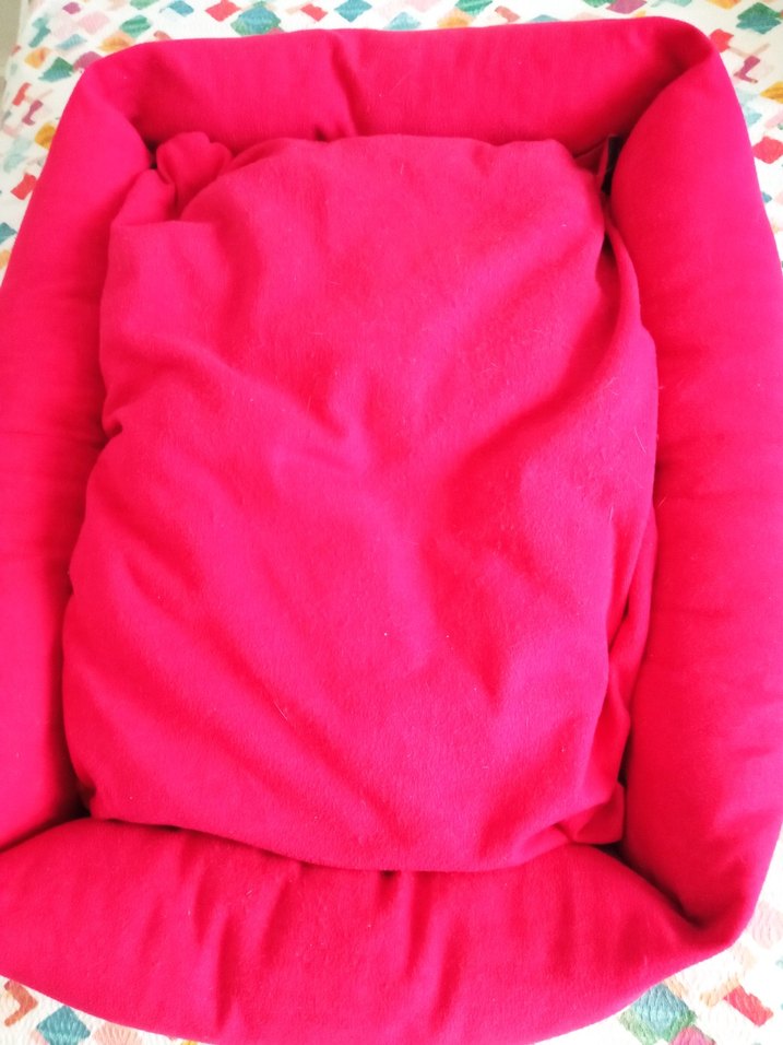 KEDİ YATAĞI - Görsel 2