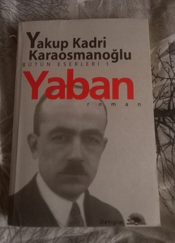Yaban romani