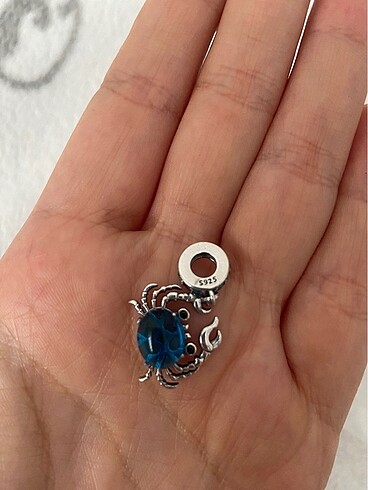 Pandora charm