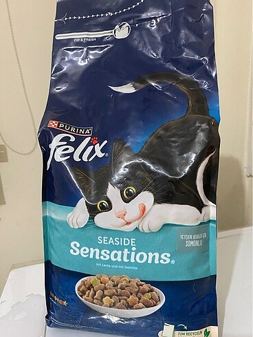 Kedi maması