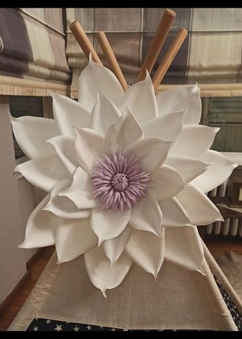 Eva çiçek - Görsel 3