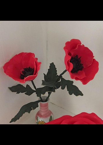 Eva çiçek - Görsel 5