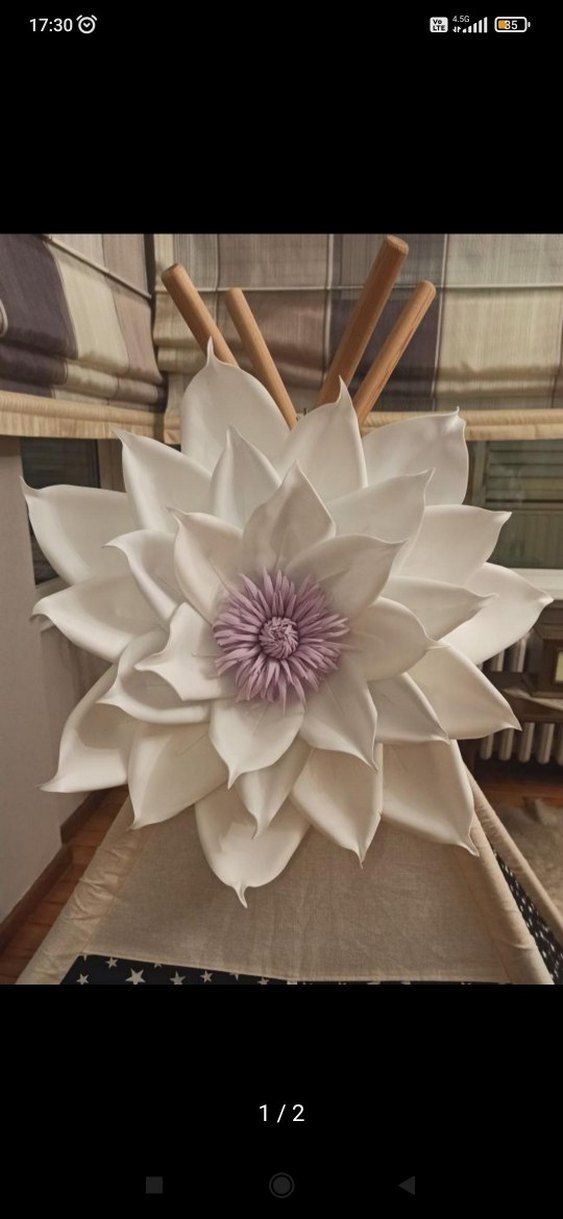 Eva çiçek - Görsel 3