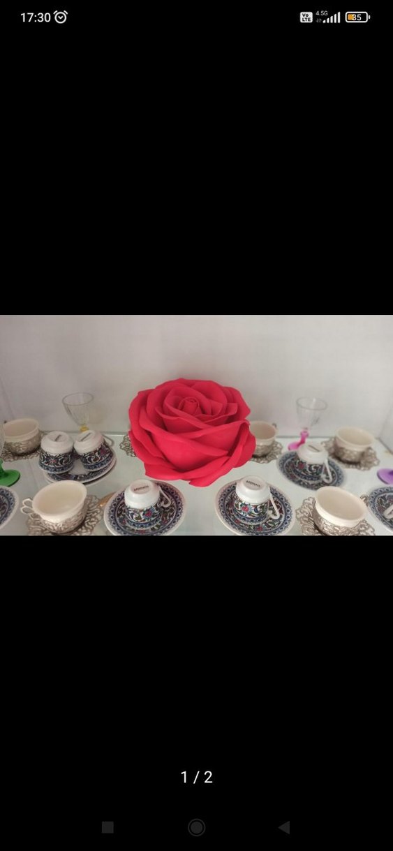 Eva çiçek - Görsel 2