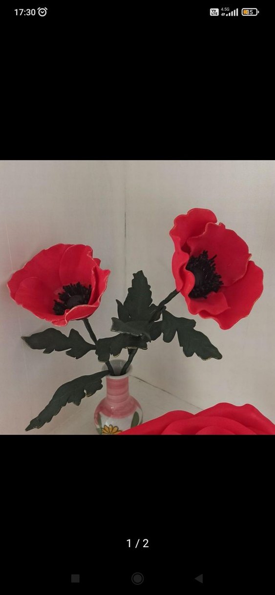 Eva çiçek - Görsel 5