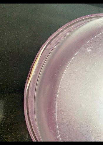  Beden mor Renk Tupperware Mor Plastik Saklama Kabı