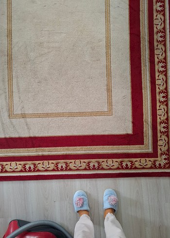 Bordo Kenarlı Açık Renkli Düz Halı yün halı - Görsel 2