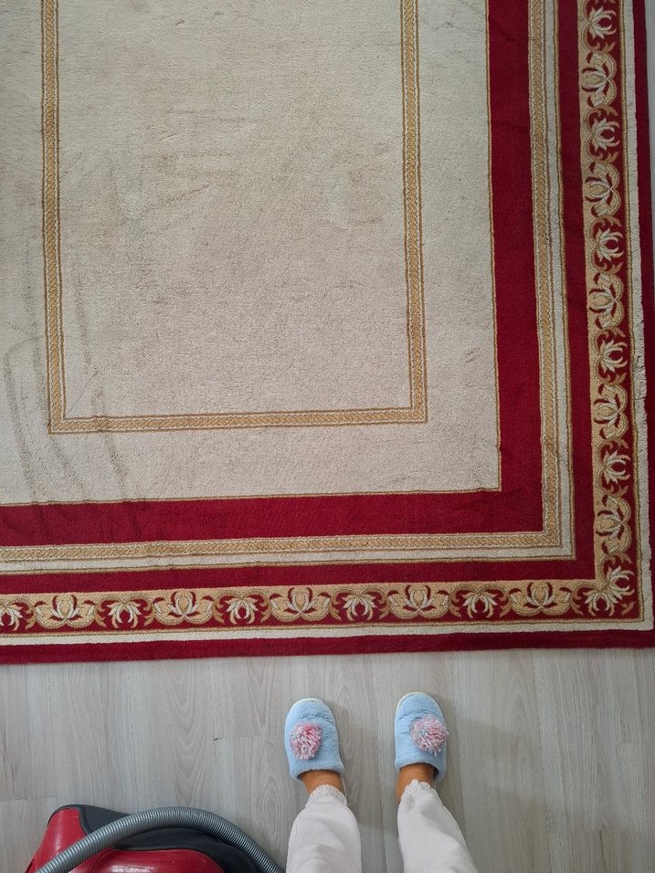 Bordo Kenarlı Açık Renkli Düz Halı yün halı - Görsel 2