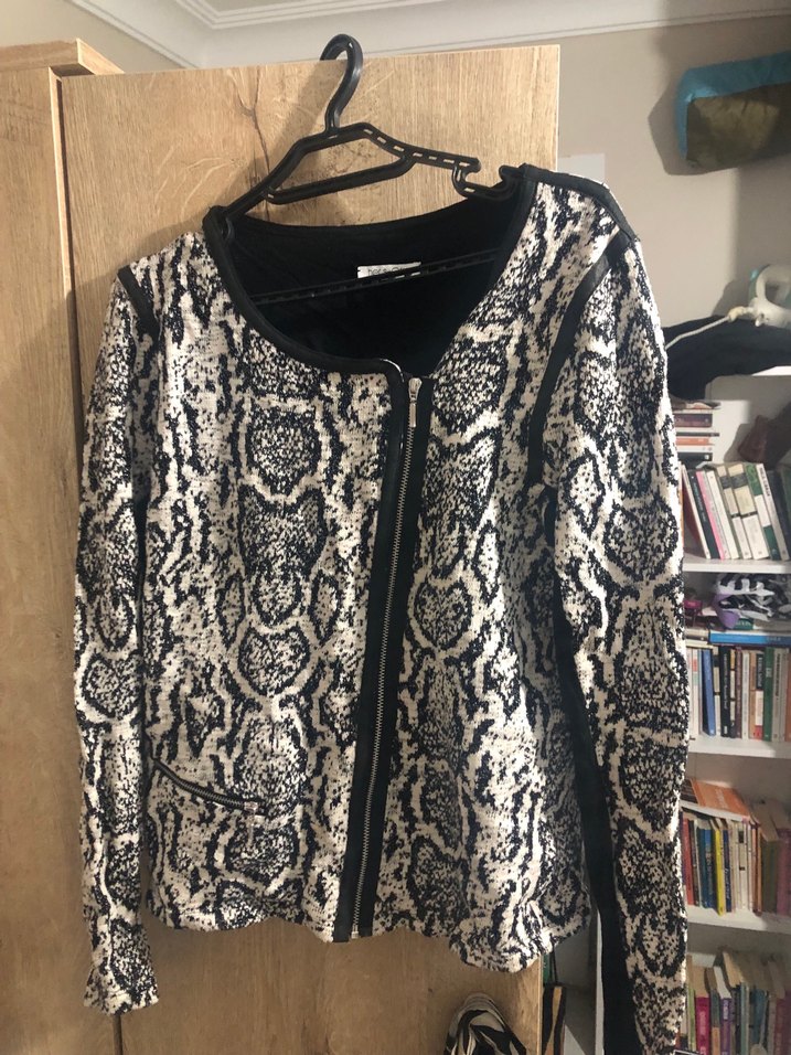 Gri Yılan Desenli Kadın Midi Ceket - Görsel 2