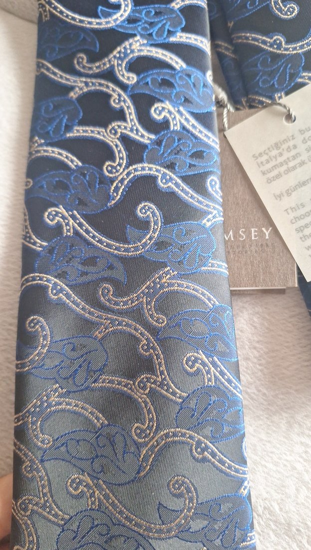 Gri ve Mavi Desenli Erkek Kravat Ramsey markadır - Görsel 4