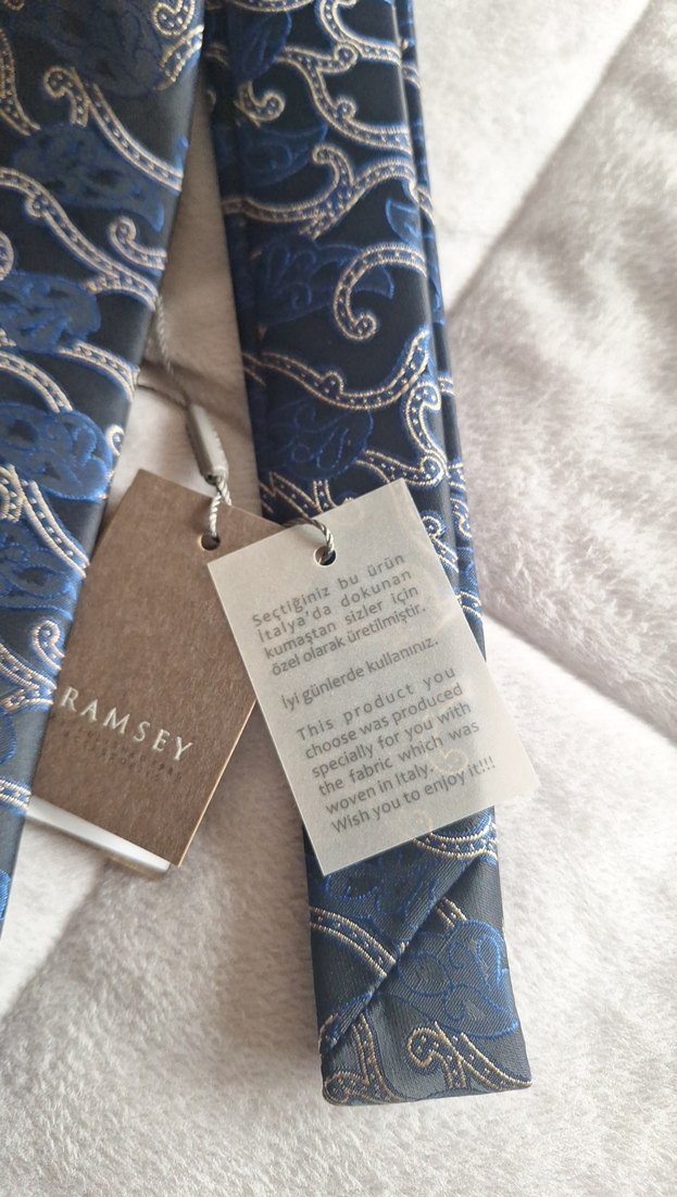 Gri ve Mavi Desenli Erkek Kravat Ramsey markadır - Görsel 2