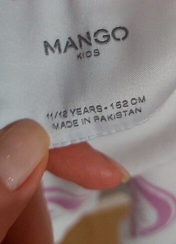 Mango Sweatshirt