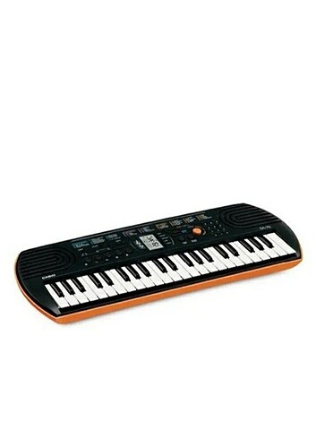 Casio org