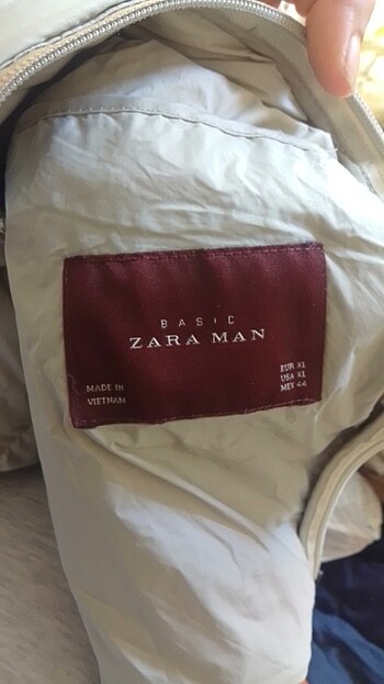 Zara gri mont