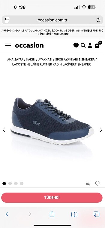 Lacoste 37