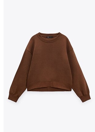 Zara sweatshirt 