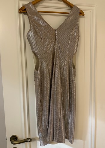 V Yaka Payetli Bej Yılan Desenli Uzun Elbise - Görsel 4