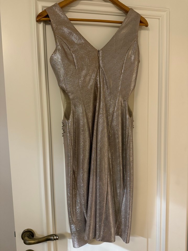 V Yaka Payetli Bej Yılan Desenli Uzun Elbise - Görsel 4