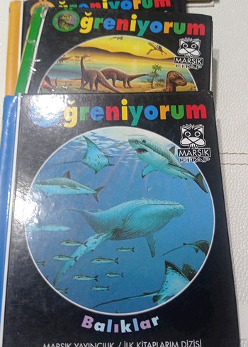 İlk Kitaplar Dizisi - Dinozorlar duyu organlari - Görsel 2