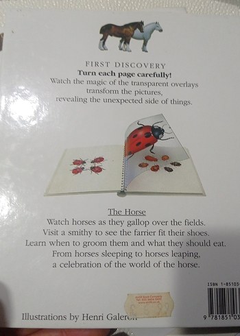 Beyaz At Figürlü Kitap çocuk kitapları at kitaplari - Görsel 6