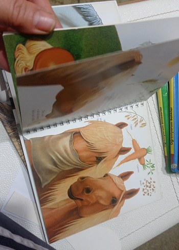 Beyaz At Figürlü Kitap çocuk kitapları at kitaplari - Görsel 4