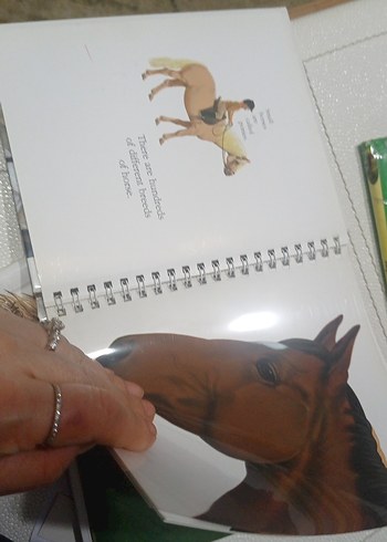 Beyaz At Figürlü Kitap çocuk kitapları at kitaplari - Görsel 2