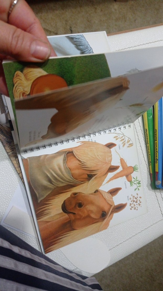 Beyaz At Figürlü Kitap çocuk kitapları at kitaplari - Görsel 4