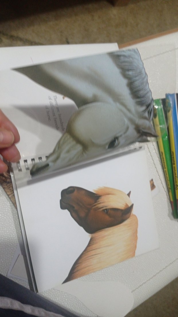 Beyaz At Figürlü Kitap çocuk kitapları at kitaplari - Görsel 3