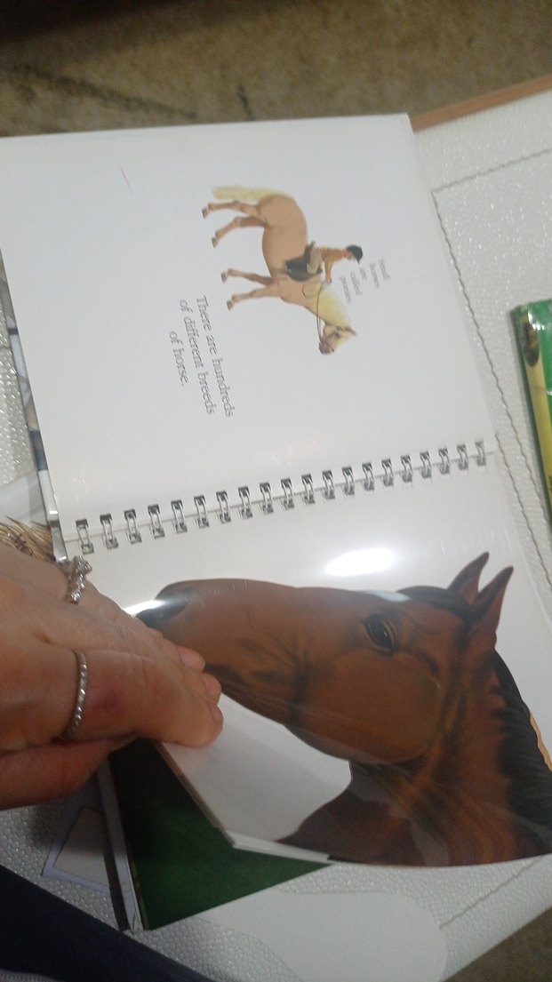 Beyaz At Figürlü Kitap çocuk kitapları at kitaplari - Görsel 2