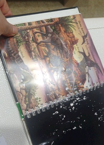 Dinozorlar - Marsık İlk Kitaplar Dizisi okul öncesi ilkokul - Görsel 8